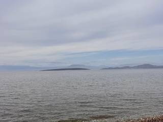 total area of 36 acres