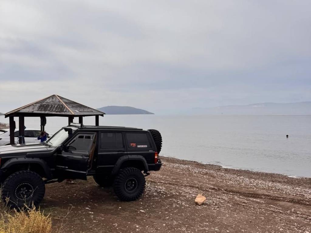 total area of 36 acres