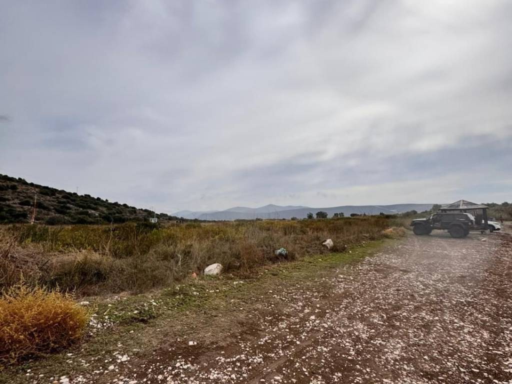 total area of 36 acres