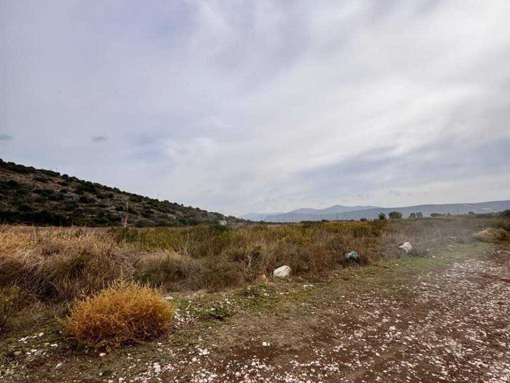 total area of 36 acres