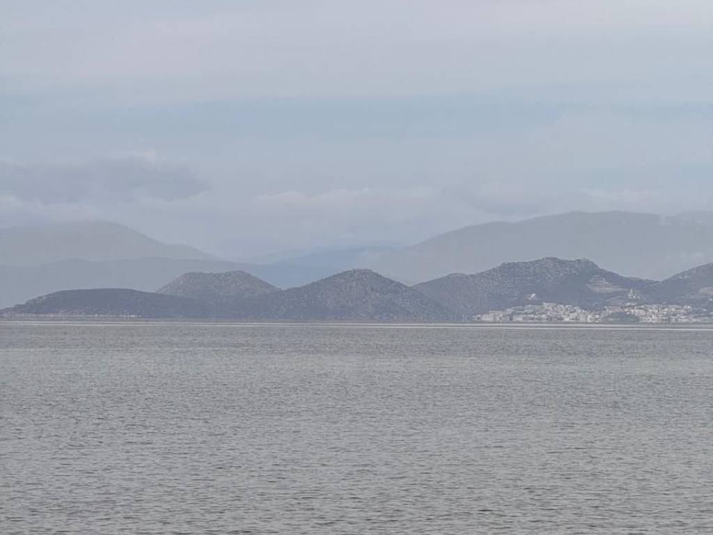 total area of 36 acres