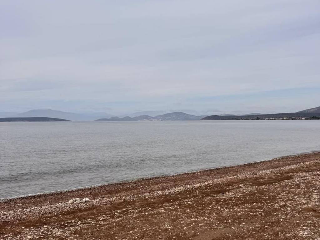 total area of 36 acres