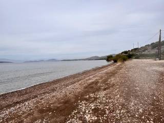 total area of 56 acres