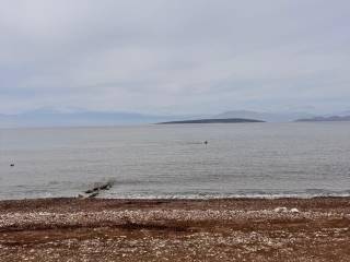 total area of 56 acres