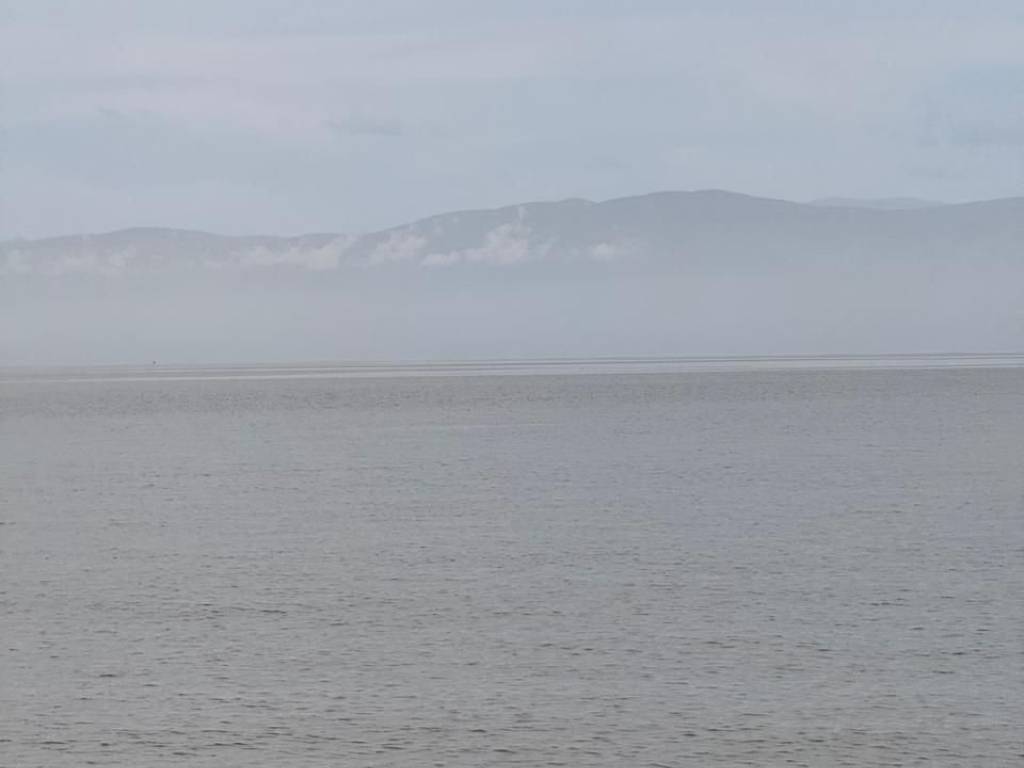 total area of 56 acres