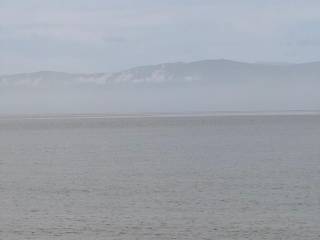 total area of 56 acres