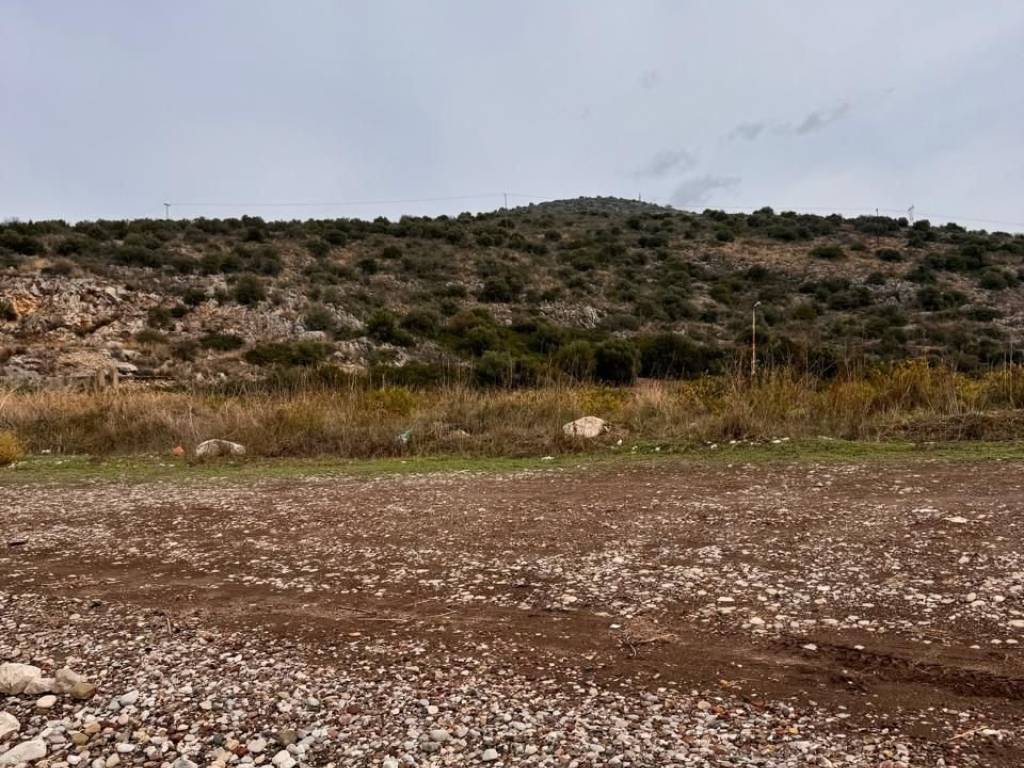 total area of 56 acres