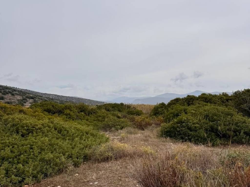 total area of 56 acres