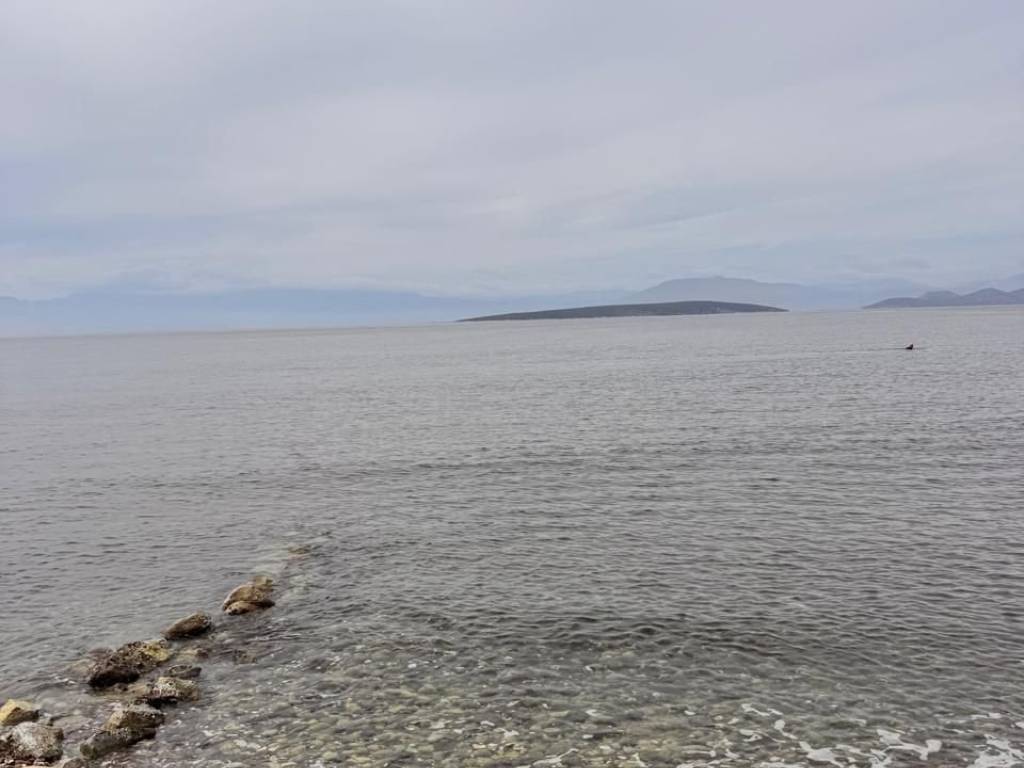 total area of 56 acres