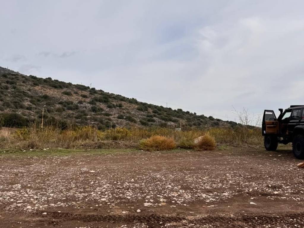 total area of 56 acres