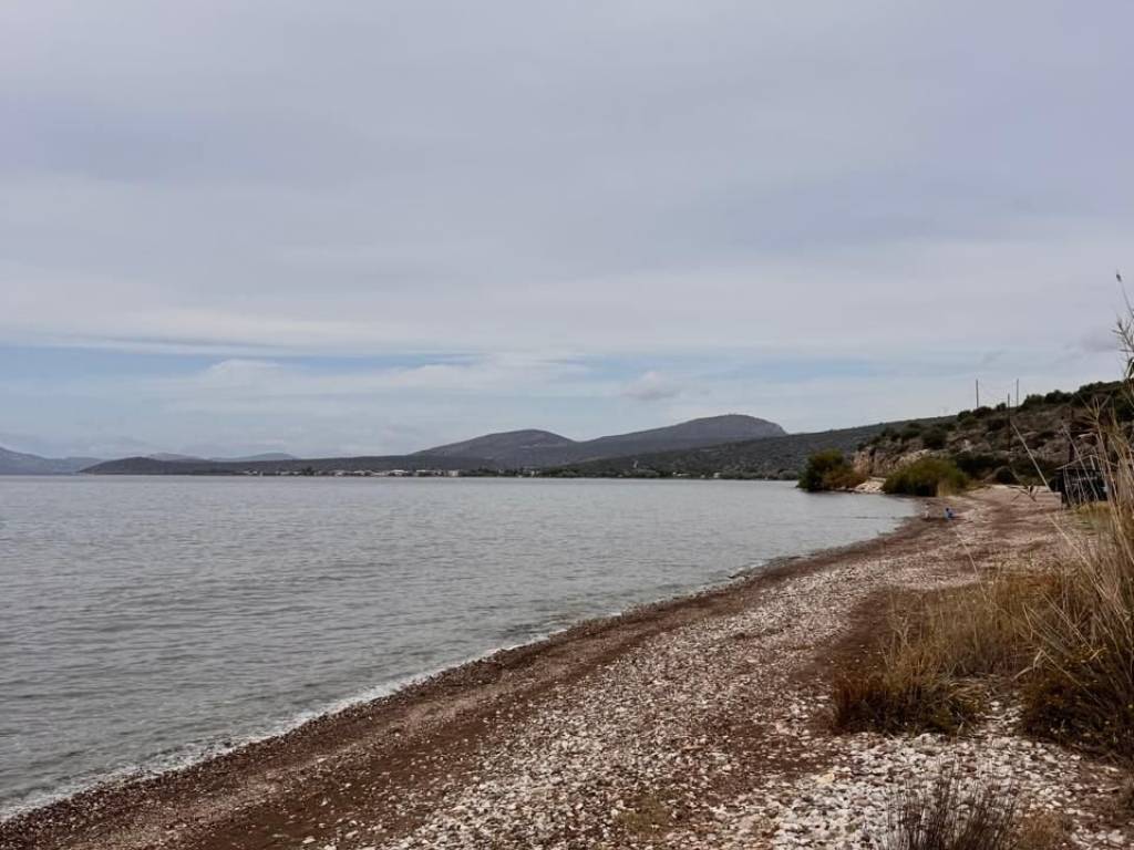 total area of 56 acres