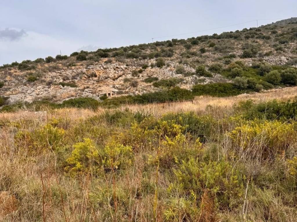 total area of 56 acres