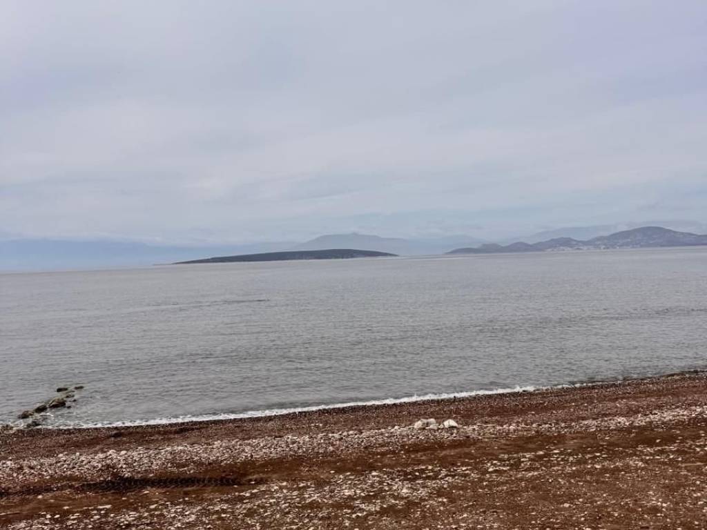 total area of 56 acres