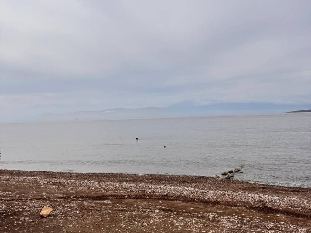 total area of 56 acres