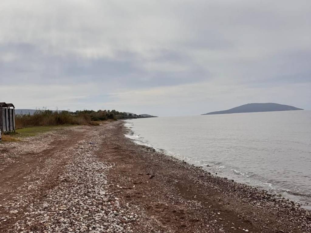 total area of 56 acres