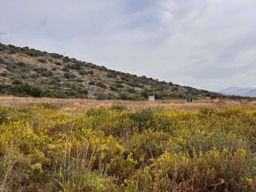 total area of 56 acres