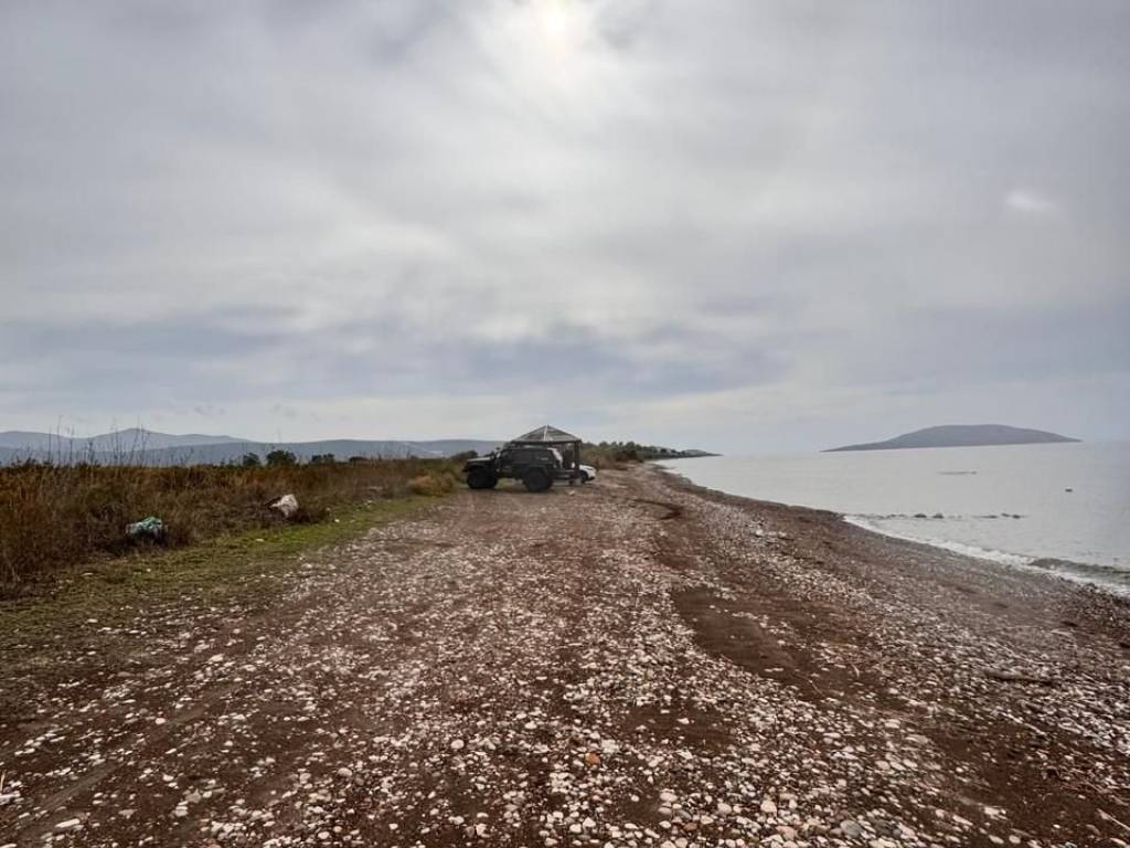 total area of 56 acres