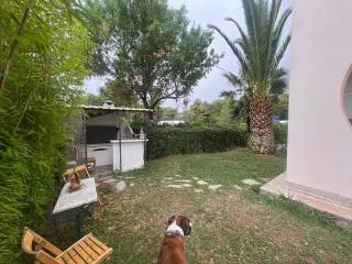 BBQ &amp; Φούρνος