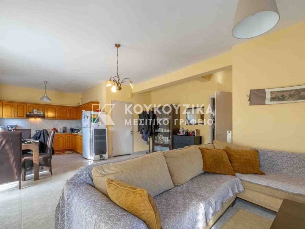 Σαλοκουζίνα