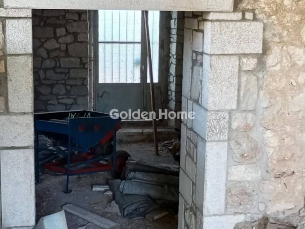 Χολ - Διάδρομος