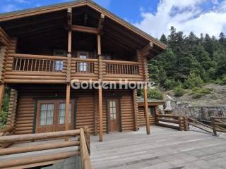 Ανελκυστήρας