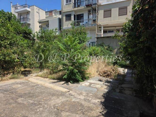 Αυλή όπισθεν του ακινήτου