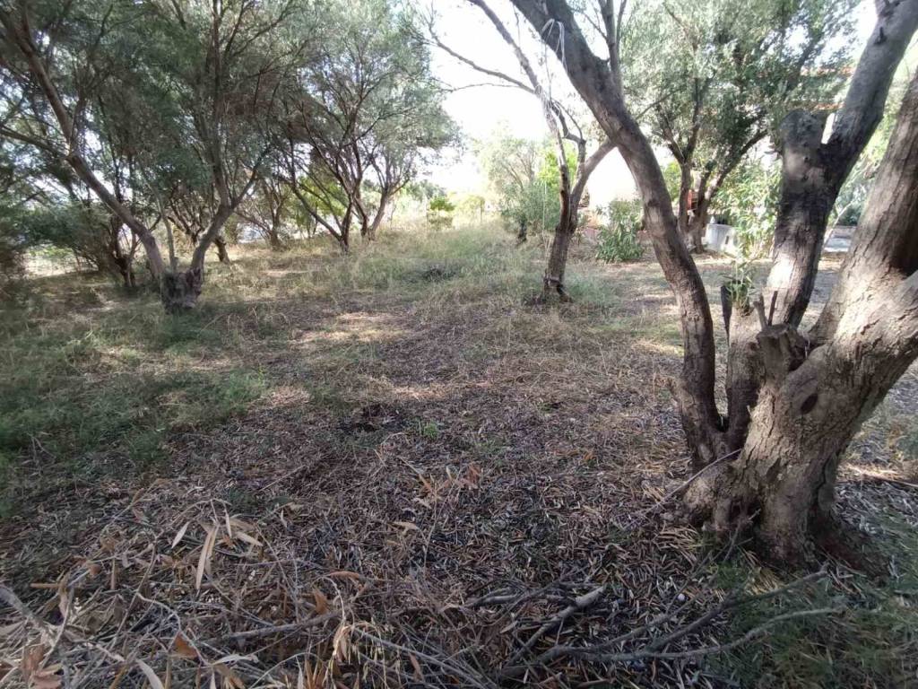 ANYPLACE ΜΕΣΙΤΙΚΕΣ ΥΠΗΡΕΣΙΕΣ