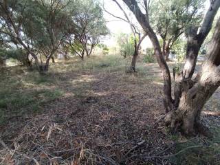 ANYPLACE ΜΕΣΙΤΙΚΕΣ ΥΠΗΡΕΣΙΕΣ