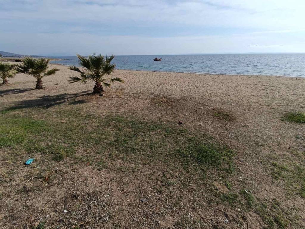 ANYPLACE ΜΕΣΙΤΙΚΕΣ ΥΠΗΡΕΣΙΕΣ