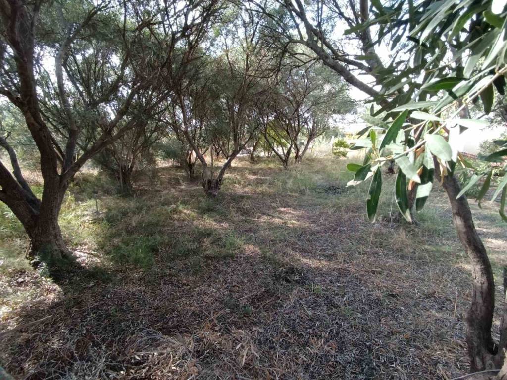 ANYPLACE ΜΕΣΙΤΙΚΕΣ ΥΠΗΡΕΣΙΕΣ