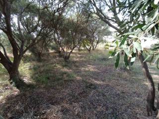 ANYPLACE ΜΕΣΙΤΙΚΕΣ ΥΠΗΡΕΣΙΕΣ