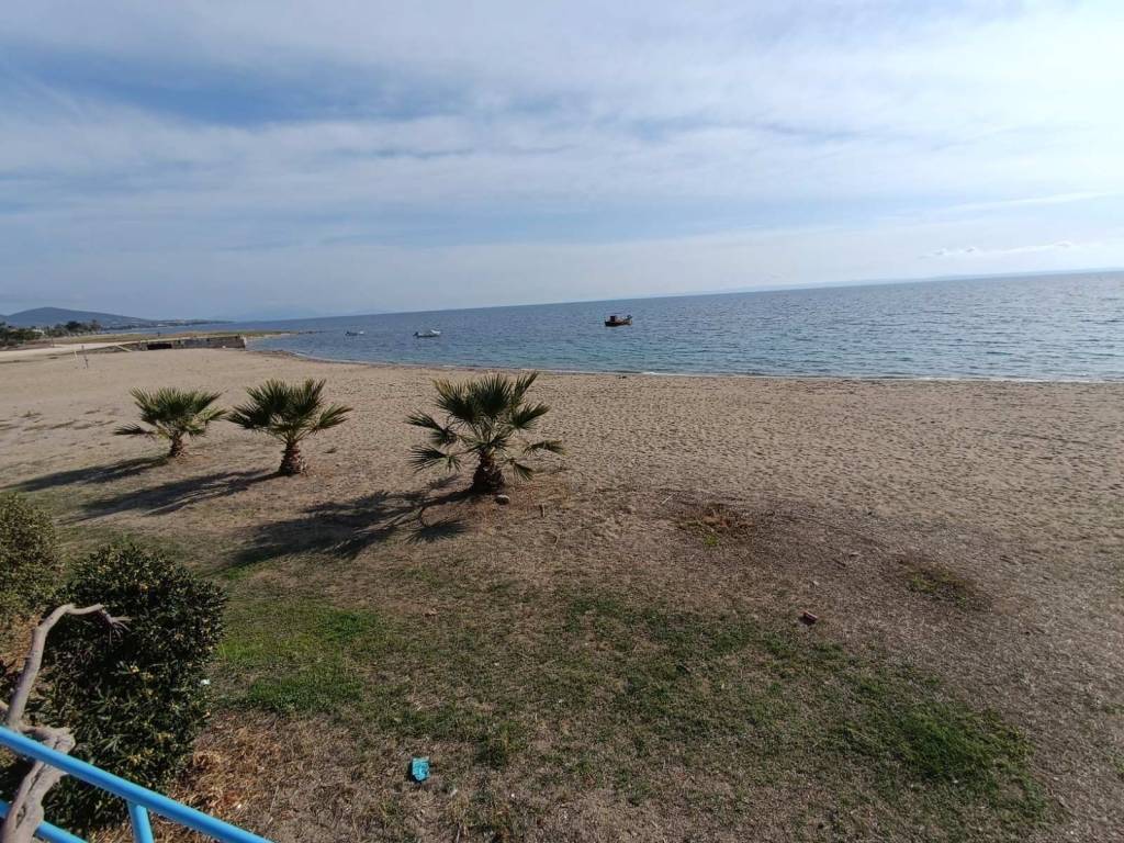 ANYPLACE ΜΕΣΙΤΙΚΕΣ ΥΠΗΡΕΣΙΕΣ