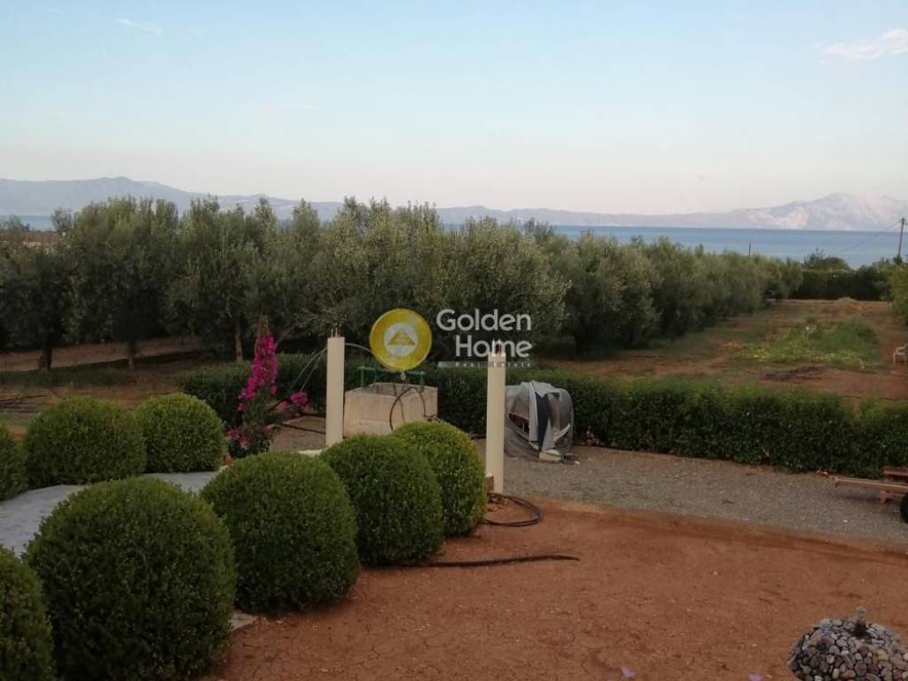 Εξωτερικός Χώρος