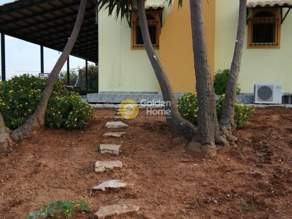 Εξωτερικός Χώρος