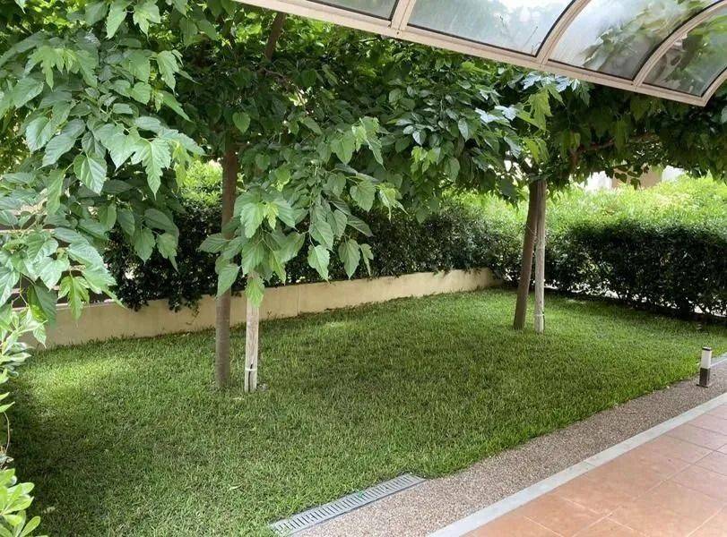 ANYPLACE MESITIKES YPERESIES