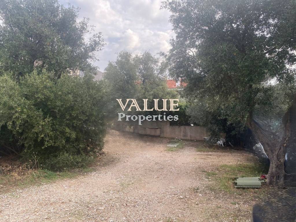 Εξωτερικοι χώροι