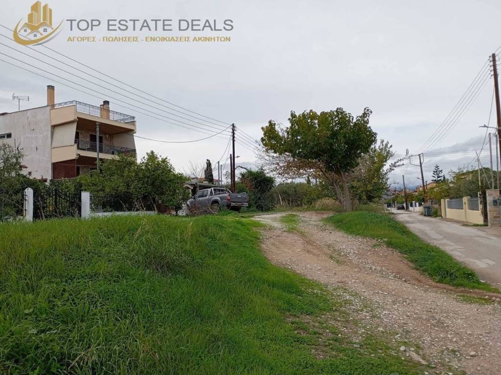 eisodos gia to oikopedo apo ton dromo