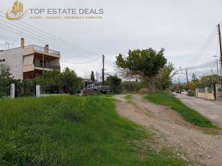 eisodos gia to oikopedo apo ton dromo