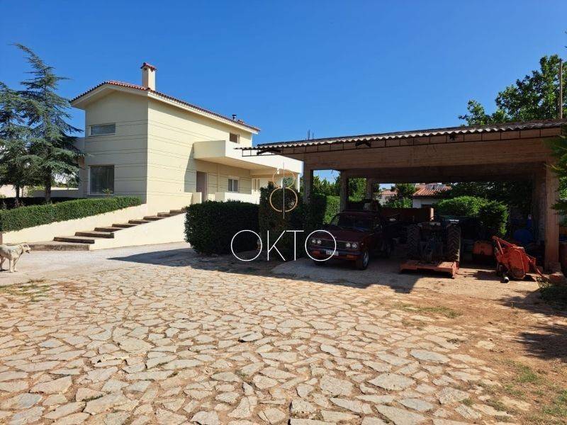 Εξωτερικός χώρος