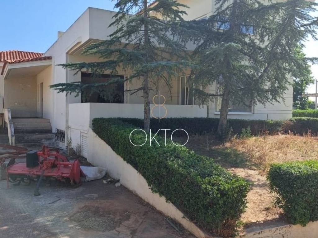 Εξωτερικός χώρος