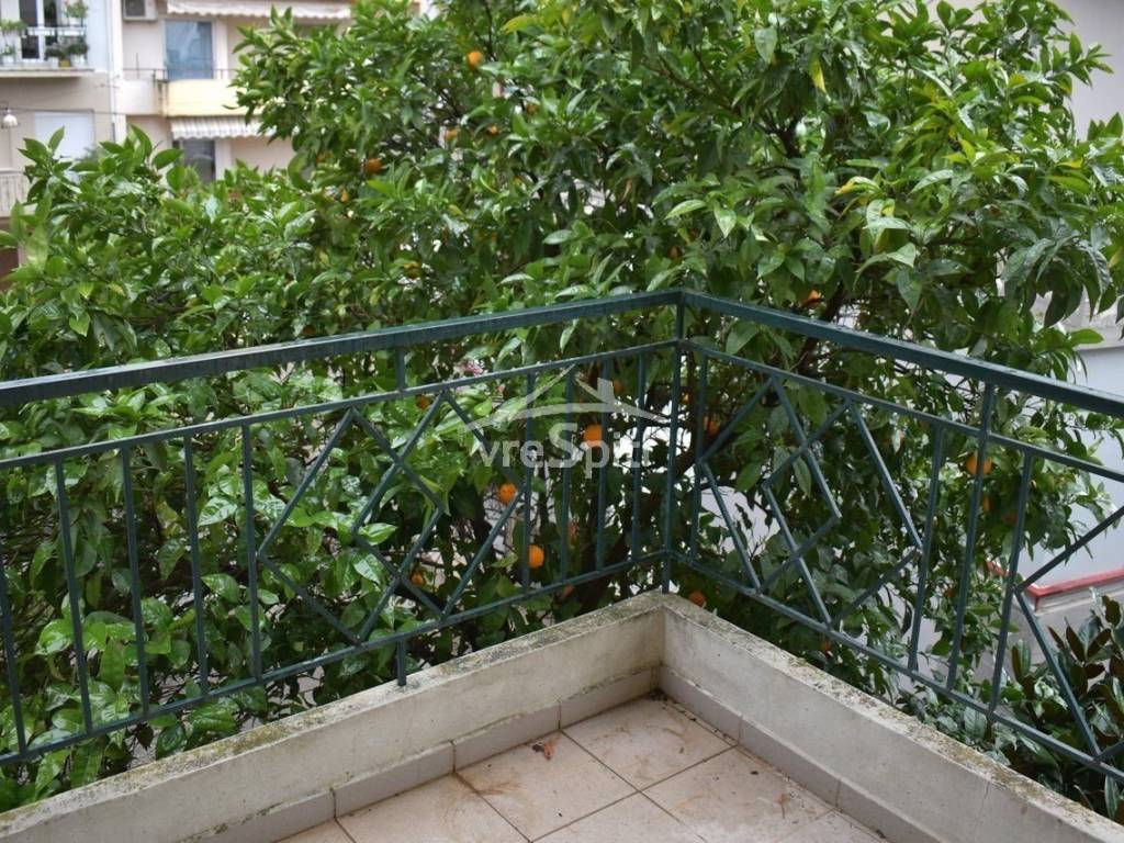 ΠΟΡΤΟΚΑΛΙΑ