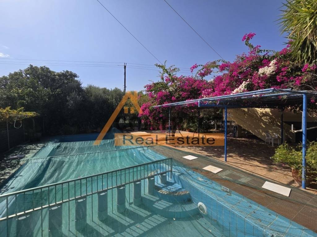 Ύπαρξη ανθρώπου