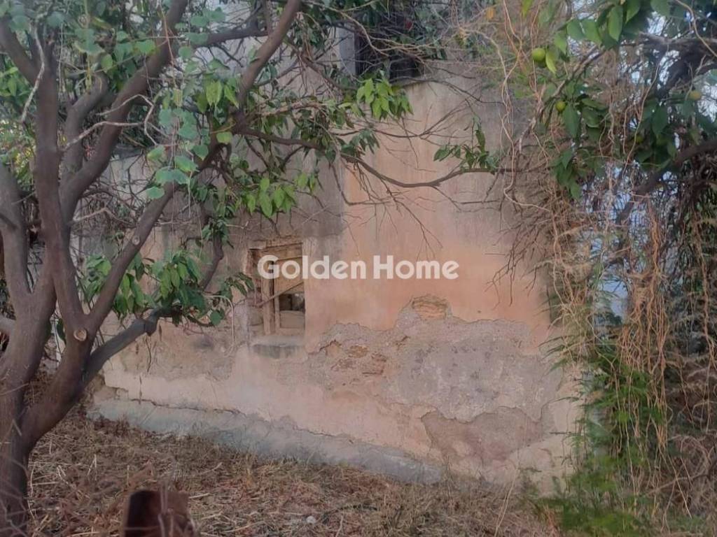 Εξωτερικός Χώρος