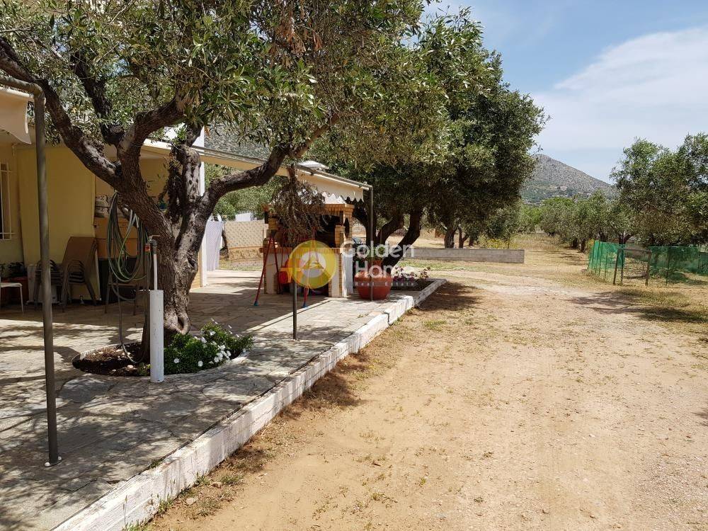 Εξωτερικός Χώρος