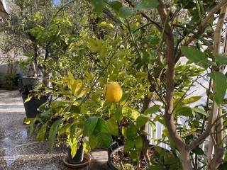 kerameikos_residential_apartment_for_rent