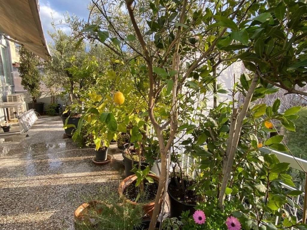 kerameikos_residential_apartment_for_rent