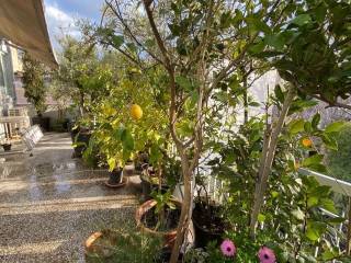 kerameikos_residential_apartment_for_rent