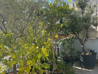 kerameikos_residential_apartment_for_rent