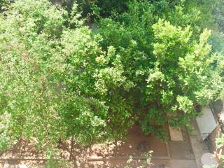 a_nekrotfeio_residential_apartment_for_rent