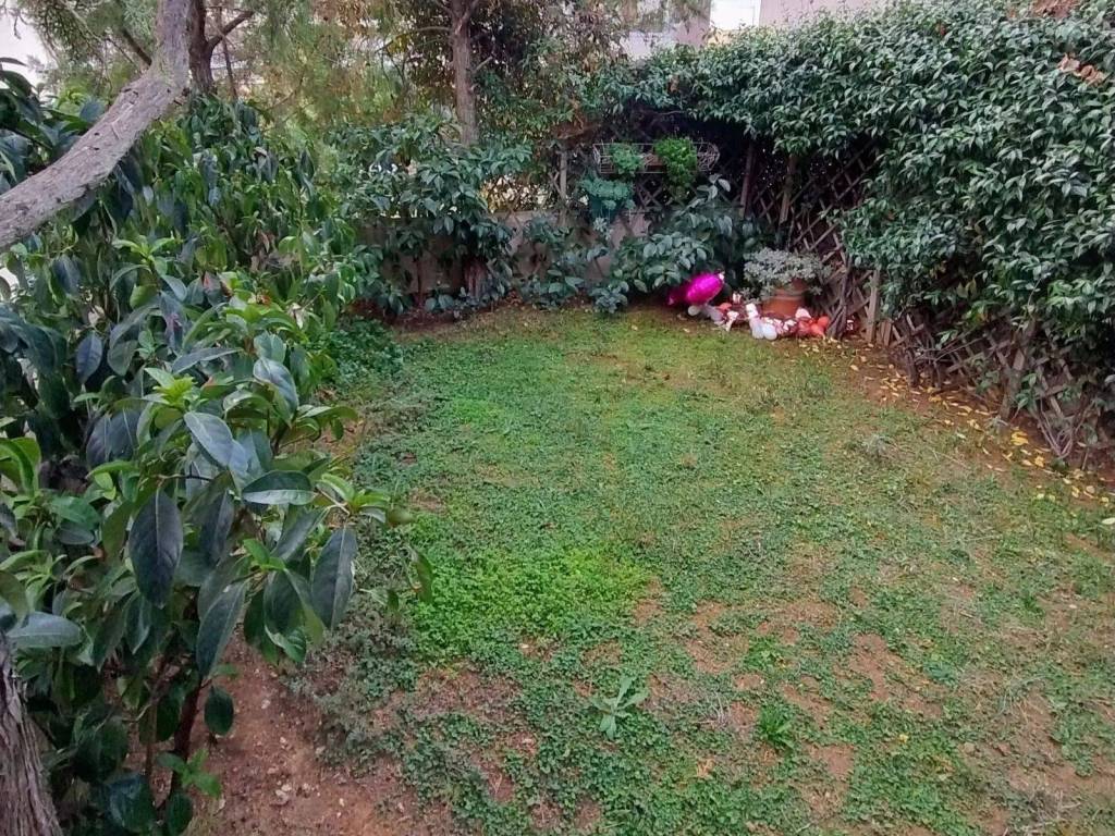 ΆΠΟΨΗ ΤΟΥ ΙΔΙΩΤΙΚΟΎ ΚΉΠΟΥ ΜΕ ΠΡΌΣΒΑΣΗ ΣΤΟ ΙΣΌΓΕΙΟ